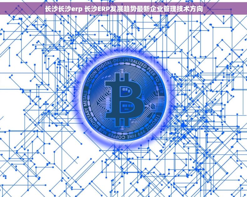 长沙长沙erp 长沙ERP发展趋势最新企业管理技术方向
