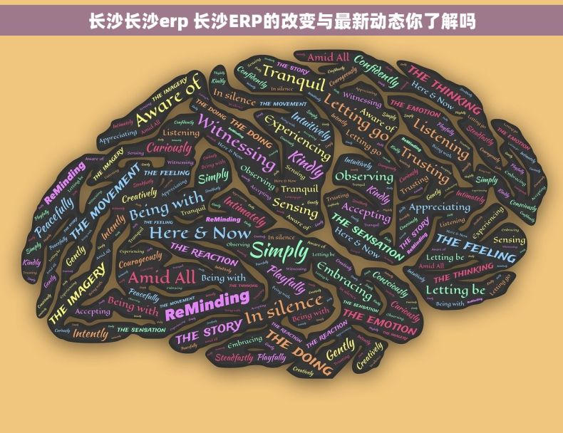 长沙长沙erp 长沙ERP的改变与最新动态你了解吗