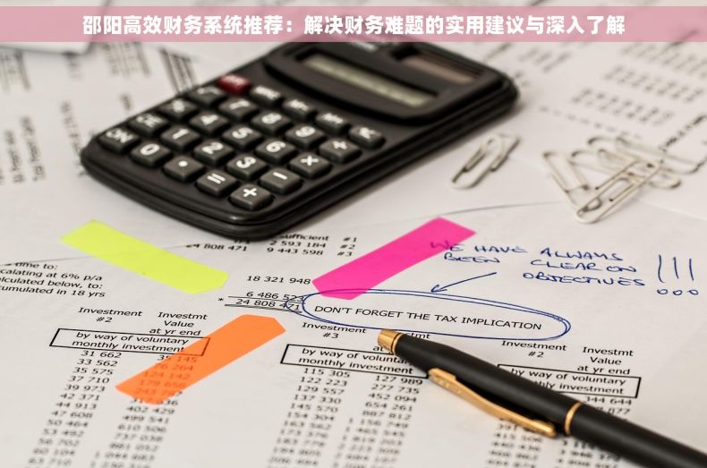 邵阳高效财务系统推荐：解决财务难题的实用建议与深入了解