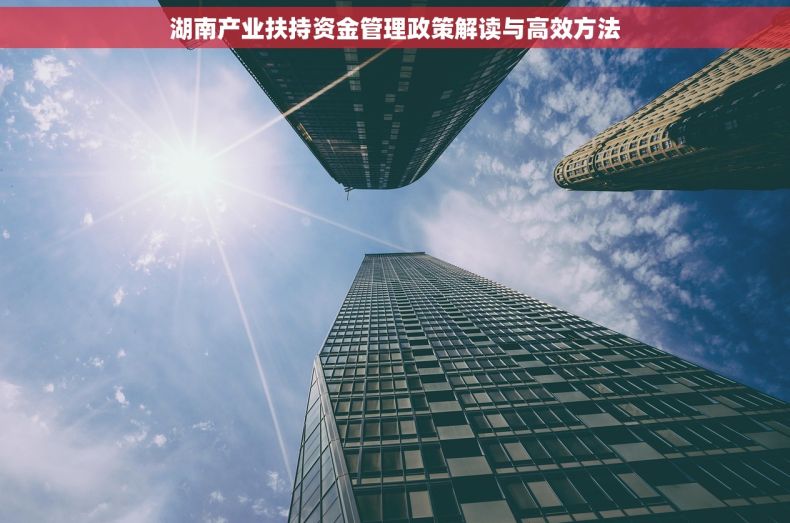 湖南产业扶持资金管理政策解读与高效方法