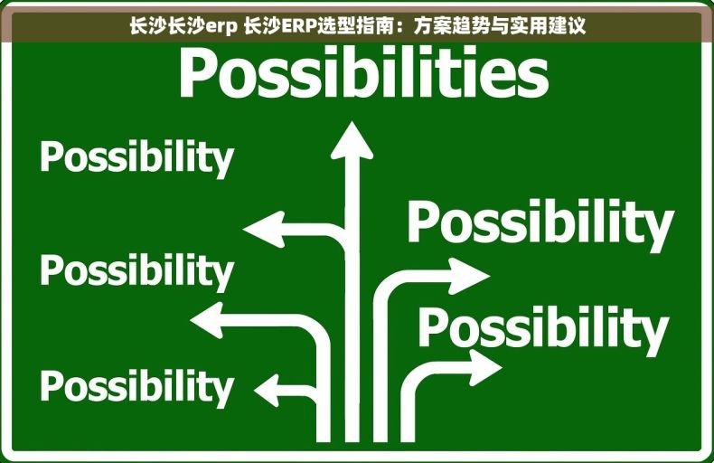 长沙长沙erp 长沙ERP选型指南：方案趋势与实用建议