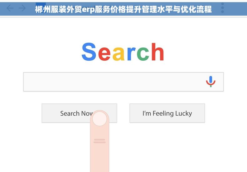 郴州服装外贸erp服务价格提升管理水平与优化流程