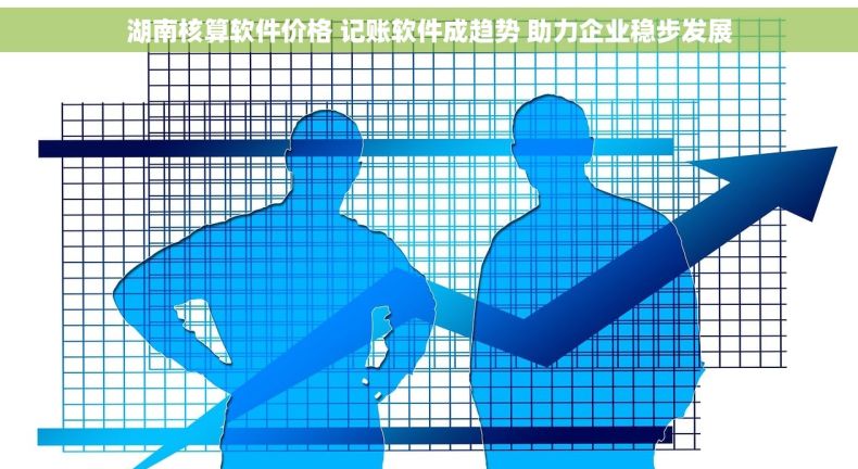 湖南核算软件价格 记账软件成趋势 助力企业稳步发展