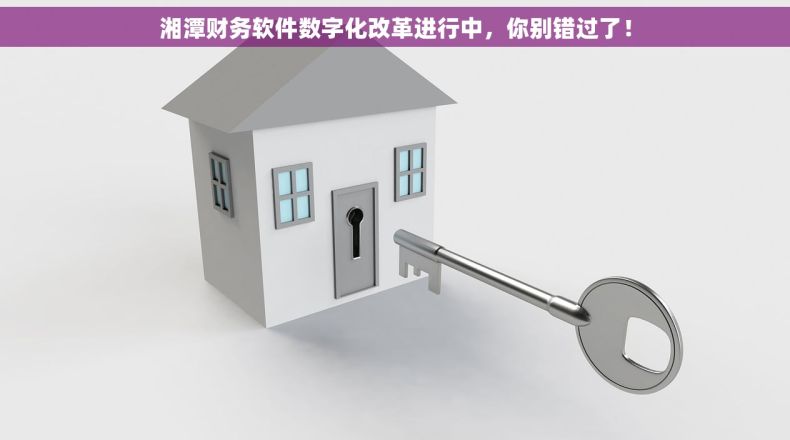 湘潭财务软件数字化改革进行中，你别错过了！