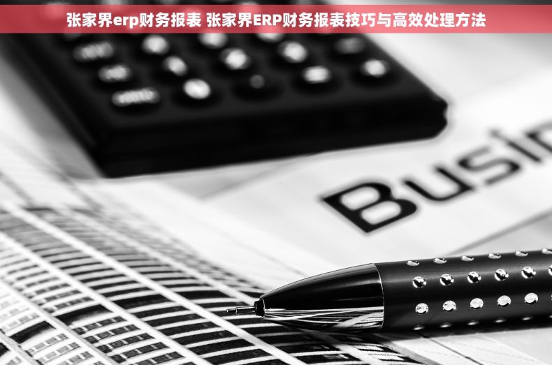 张家界erp财务报表 张家界ERP财务报表技巧与高效处理方法