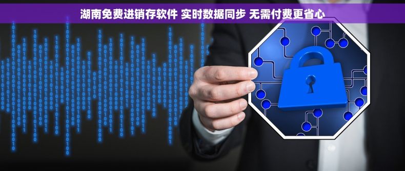 湖南免费进销存软件 实时数据同步 无需付费更省心