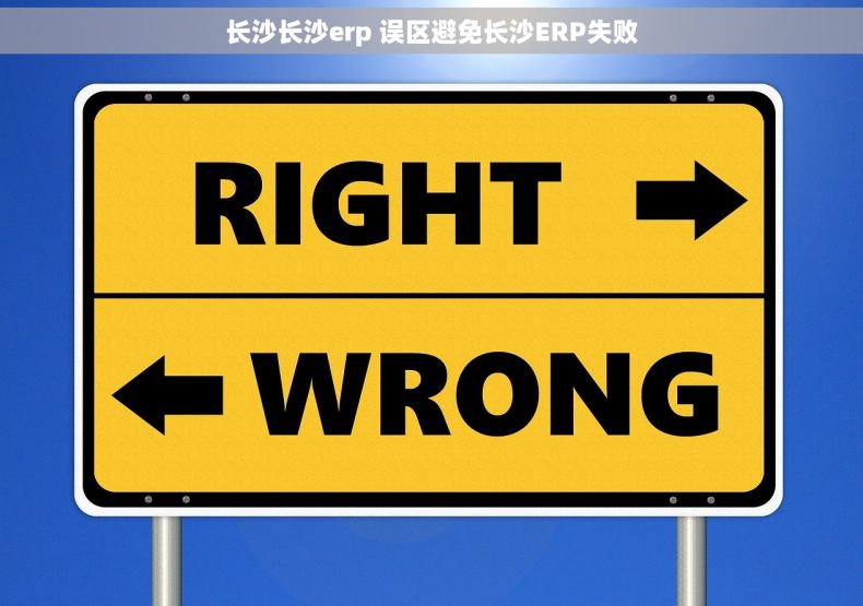 长沙长沙erp 误区避免长沙ERP失败