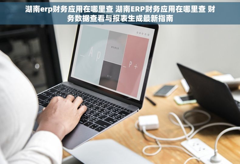 湖南erp财务应用在哪里查 湖南ERP财务应用在哪里查 财务数据查看与报表生成最新指南