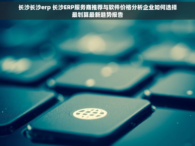 长沙长沙erp 长沙ERP服务商推荐与软件价格分析企业如何选择最划算最新趋势报告