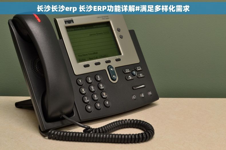 长沙长沙erp 长沙ERP功能详解#满足多样化需求