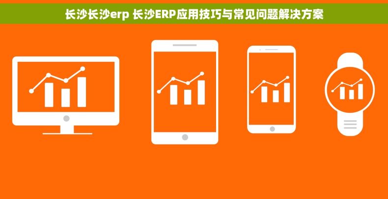 长沙长沙erp 长沙ERP应用技巧与常见问题解决方案