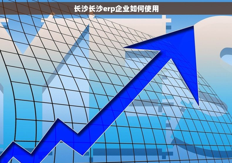 长沙长沙erp企业如何使用