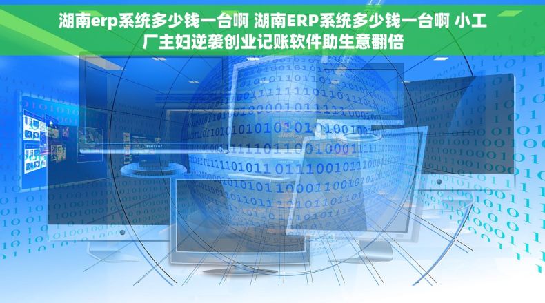 湖南erp系统多少钱一台啊 湖南ERP系统多少钱一台啊 小工厂主妇逆袭创业记账软件助生意翻倍