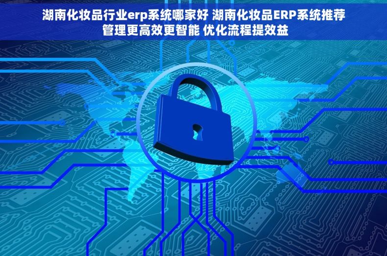 湖南化妆品行业erp系统哪家好 湖南化妆品ERP系统推荐 管理更高效更智能 优化流程提效益