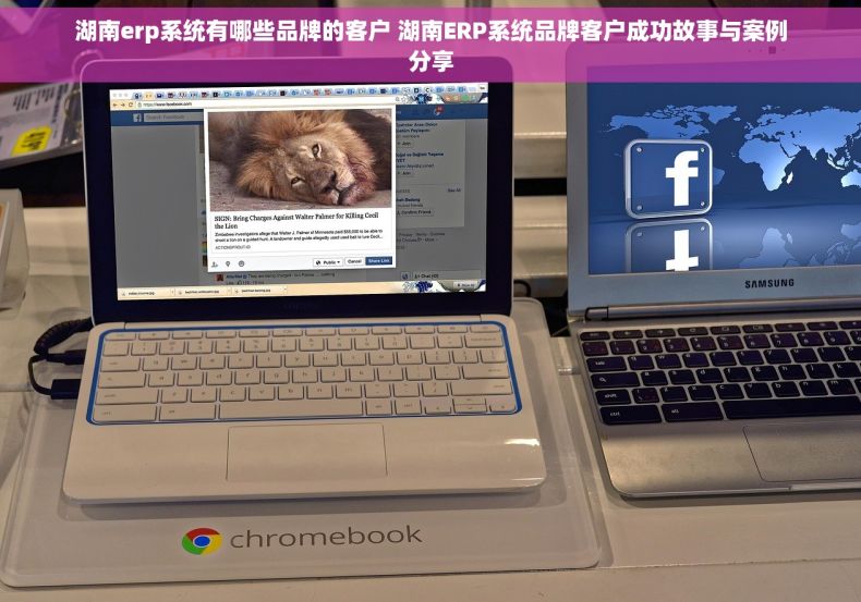 湖南erp系统有哪些品牌的客户 湖南ERP系统品牌客户成功故事与案例分享