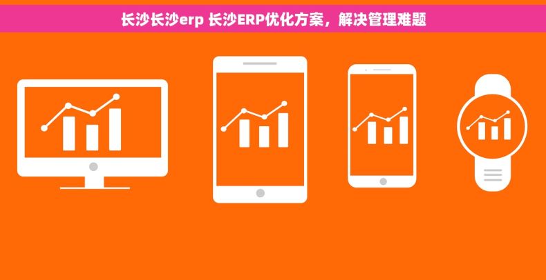长沙长沙erp 长沙ERP优化方案，解决管理难题