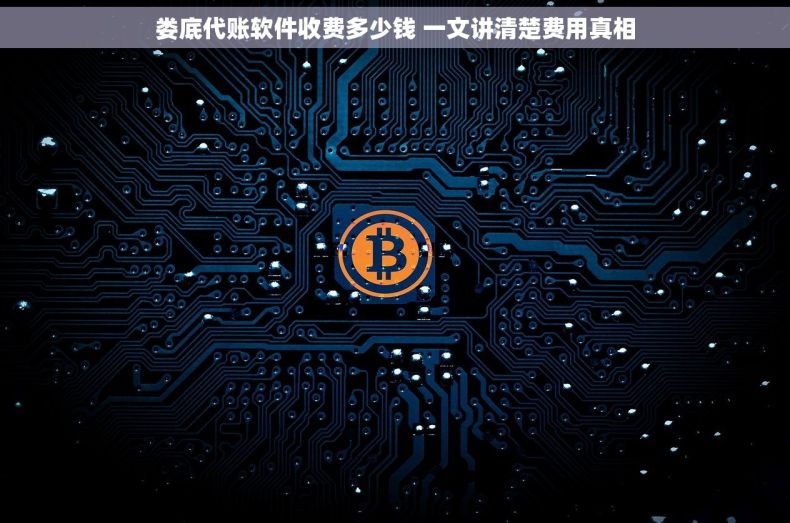 娄底代账软件收费多少钱 一文讲清楚费用真相