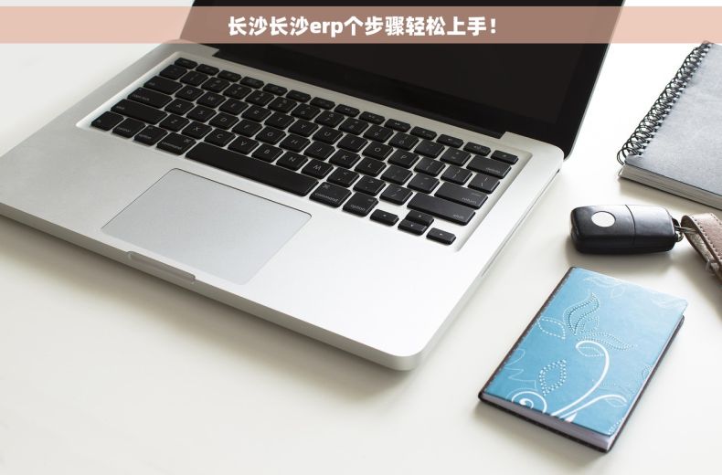 长沙长沙erp个步骤轻松上手！
