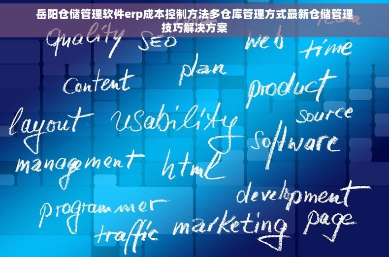 岳阳仓储管理软件erp成本控制方法多仓库管理方式最新仓储管理技巧解决方案