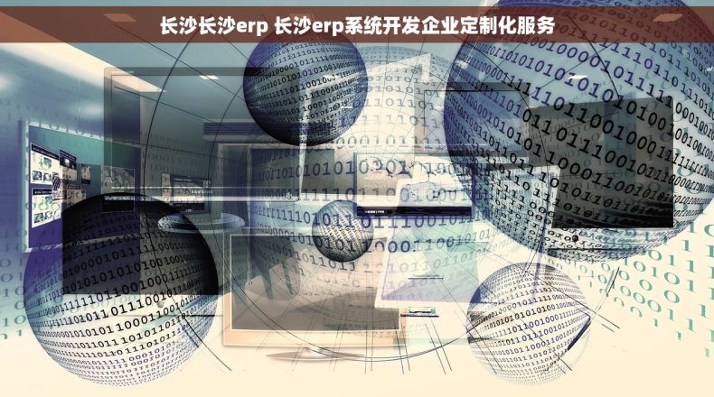 长沙长沙erp 长沙erp系统开发企业定制化服务