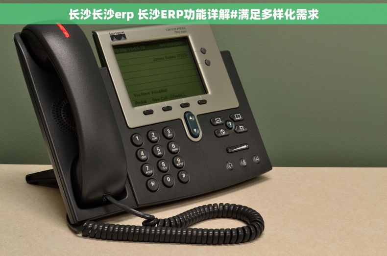 长沙长沙erp 长沙ERP功能详解#满足多样化需求