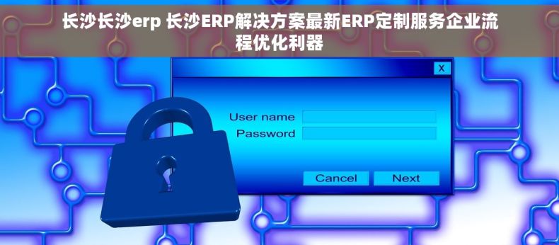 长沙长沙erp 长沙ERP解决方案最新ERP定制服务企业流程优化利器