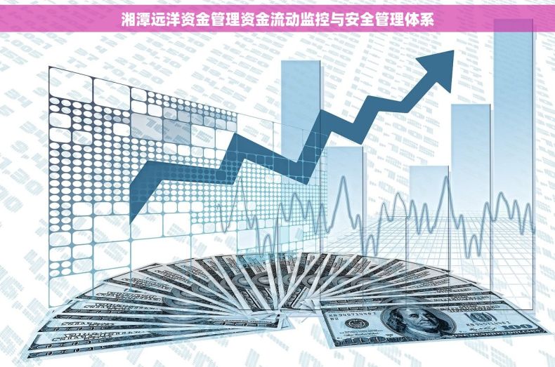 湘潭远洋资金管理资金流动监控与安全管理体系