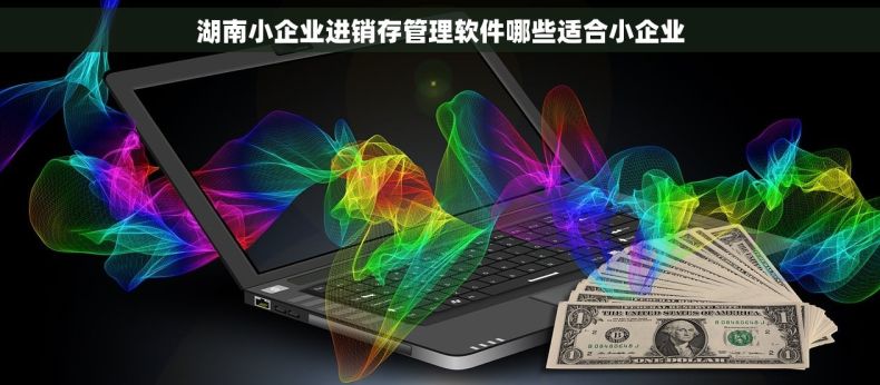 湖南小企业进销存管理软件哪些适合小企业