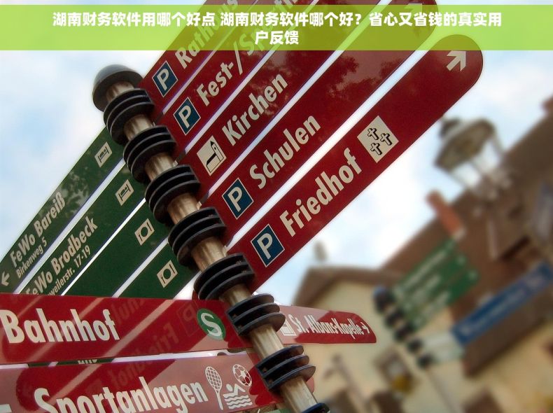 湖南财务软件用哪个好点 湖南财务软件哪个好？省心又省钱的真实用户反馈