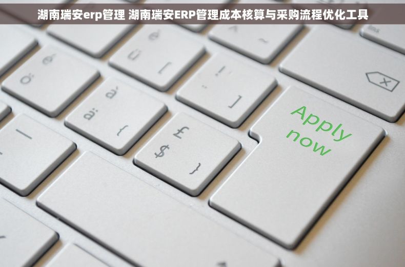 湖南瑞安erp管理 湖南瑞安ERP管理成本核算与采购流程优化工具