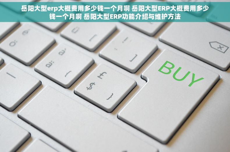 岳阳大型erp大概费用多少钱一个月啊 岳阳大型ERP大概费用多少钱一个月啊 岳阳大型ERP功能介绍与维护方法