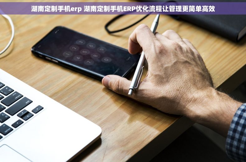 湖南定制手机erp 湖南定制手机ERP优化流程让管理更简单高效