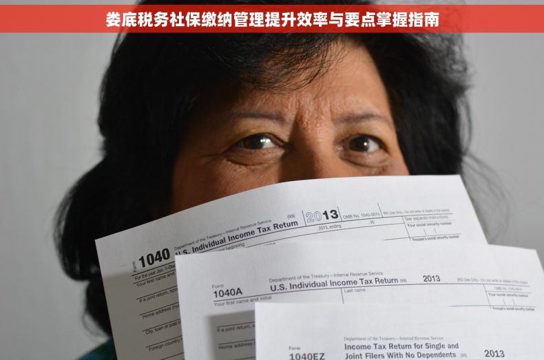 娄底税务社保缴纳管理提升效率与要点掌握指南
