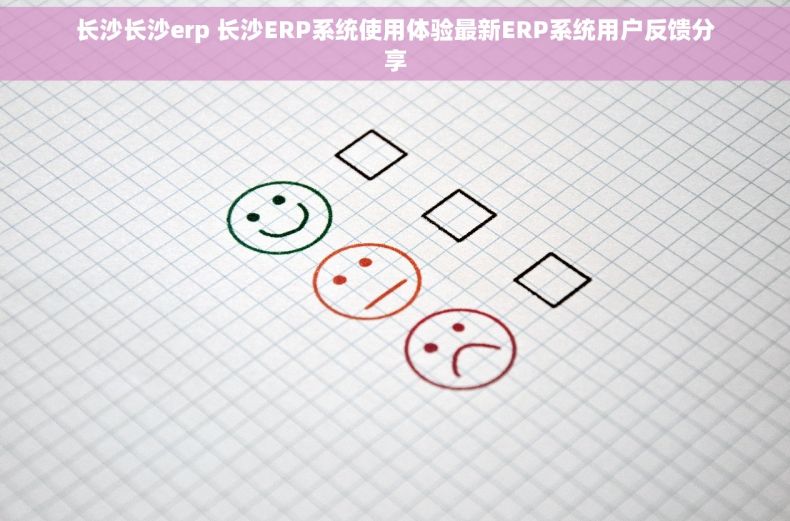 长沙长沙erp 长沙ERP系统使用体验最新ERP系统用户反馈分享