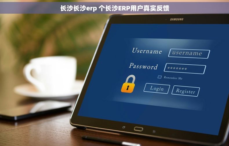 长沙长沙erp 个长沙ERP用户真实反馈