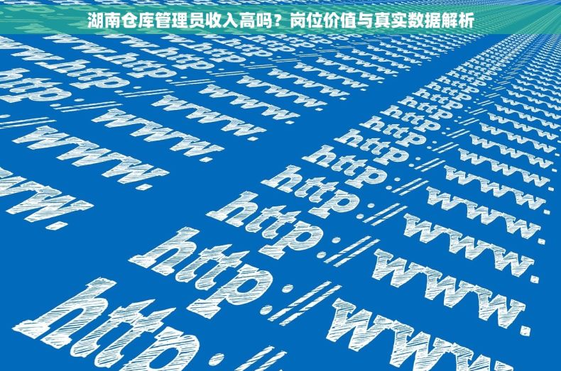 湖南仓库管理员收入高吗？岗位价值与真实数据解析