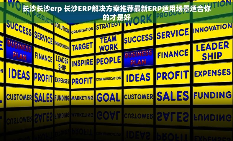 长沙长沙erp 长沙ERP解决方案推荐最新ERP适用场景适合你的才是好