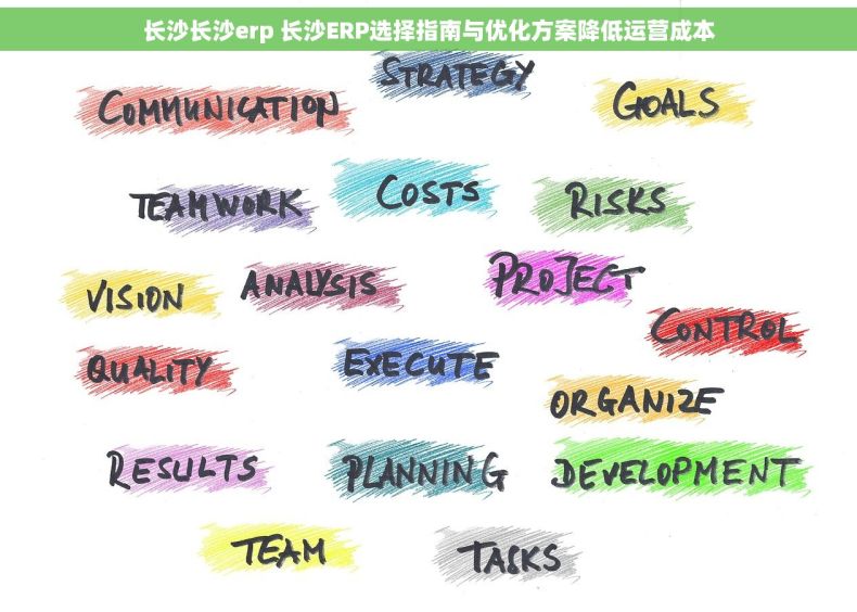 长沙长沙erp 长沙ERP选择指南与优化方案降低运营成本