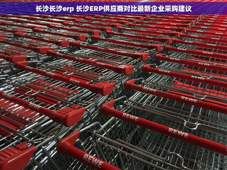 长沙长沙erp 长沙ERP供应商对比最新企业采购建议