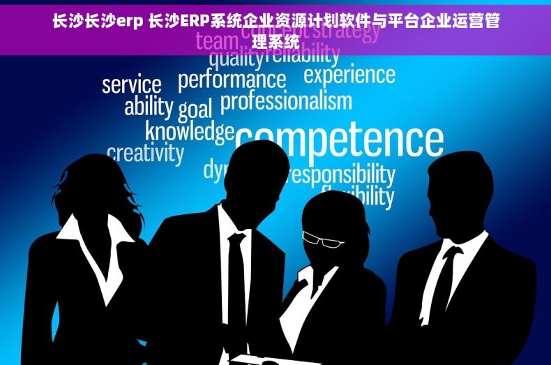 长沙长沙erp 长沙ERP系统企业资源计划软件与平台企业运营管理系统