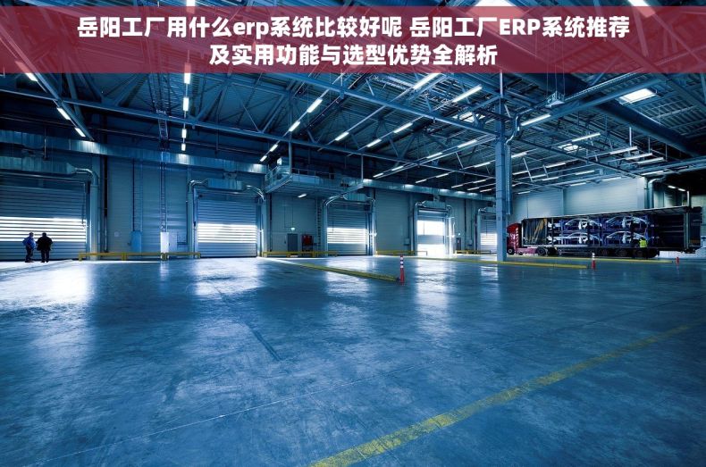 岳阳工厂用什么erp系统比较好呢 岳阳工厂ERP系统推荐及实用功能与选型优势全解析