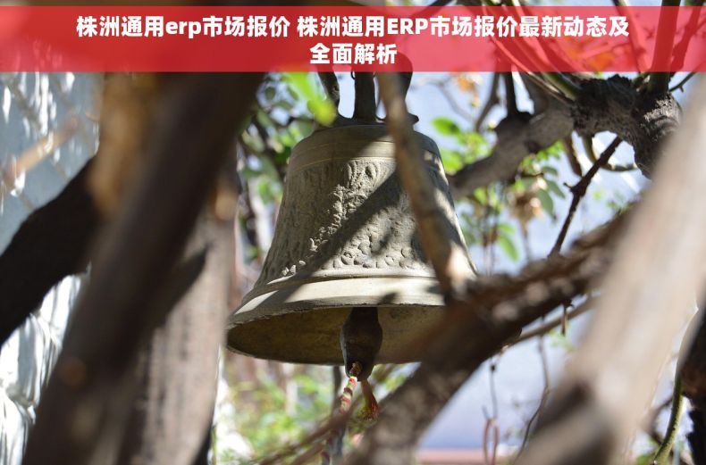 株洲通用erp市场报价 株洲通用ERP市场报价最新动态及全面解析