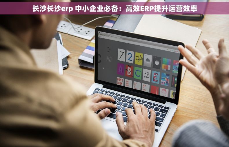 长沙长沙erp 中小企业必备：高效ERP提升运营效率