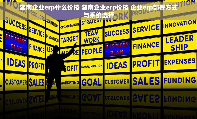 湖南企业erp什么价格 湖南企业erp价格 企业erp部署方式与系统选择