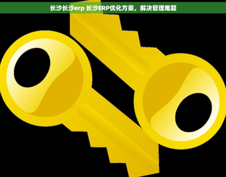 长沙长沙erp 长沙ERP优化方案，解决管理难题
