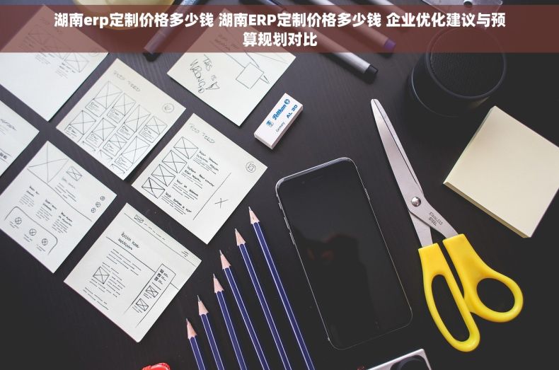 湖南erp定制价格多少钱 湖南ERP定制价格多少钱 企业优化建议与预算规划对比