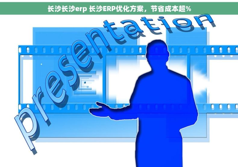 长沙长沙erp 长沙ERP优化方案，节省成本超%
