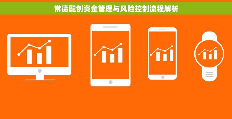常德融创资金管理与风险控制流程解析