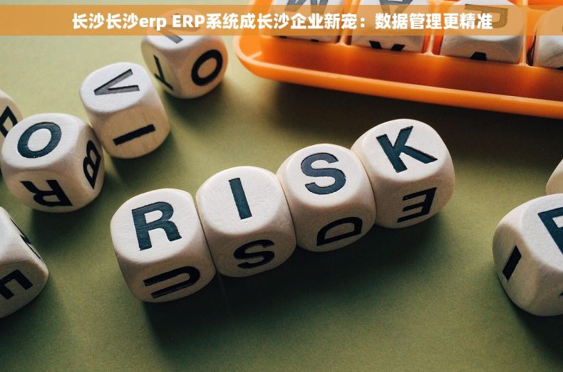 长沙长沙erp ERP系统成长沙企业新宠：数据管理更精准