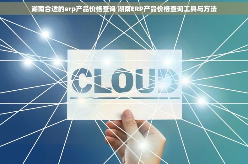 湖南合适的erp产品价格查询 湖南ERP产品价格查询工具与方法
